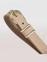 חגורה קרינה