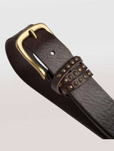 חגורה אלברטה