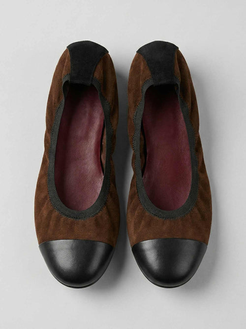 בלרינה שרלוט