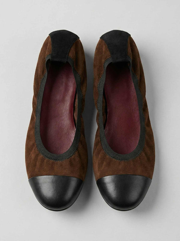 בלרינה שרלוט