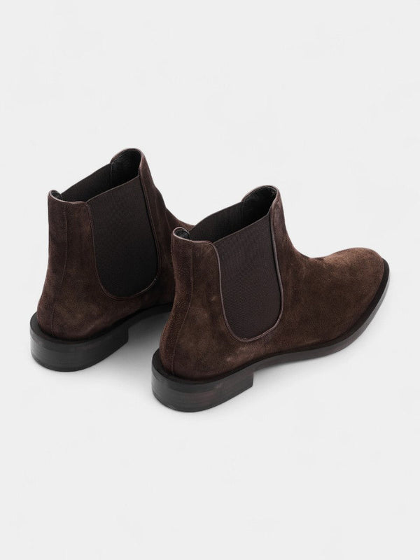 מגפון אמנדה