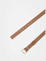 חגורה מייבל