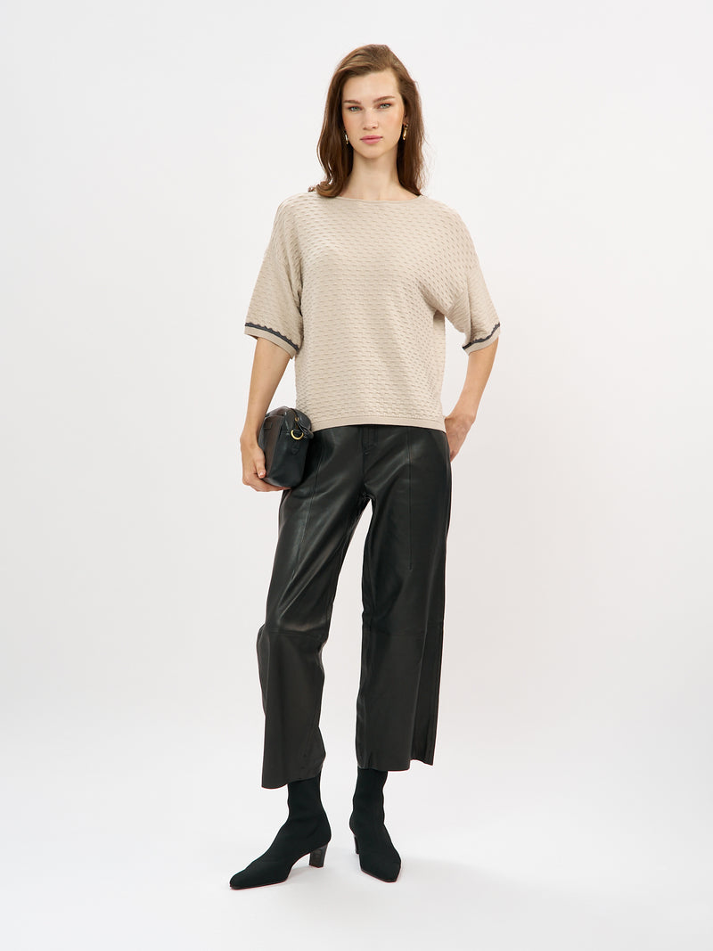 סריג קלרה FF