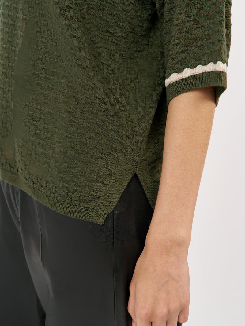 סריג קלרה FF